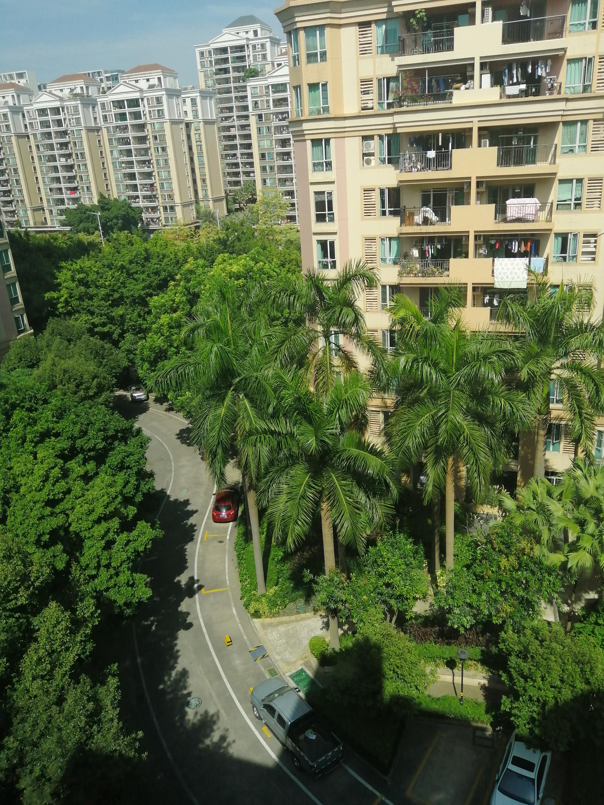 �����žӘ���Ӻ�ݺ�͢��